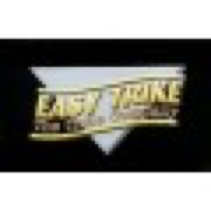 Logo Easy Trike
